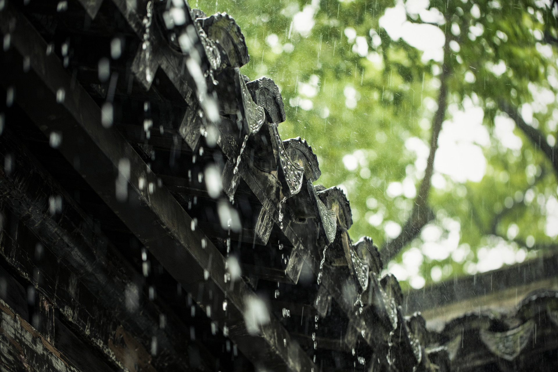 骨质疏松的老年人需警惕 梅雨季这种疾病高发