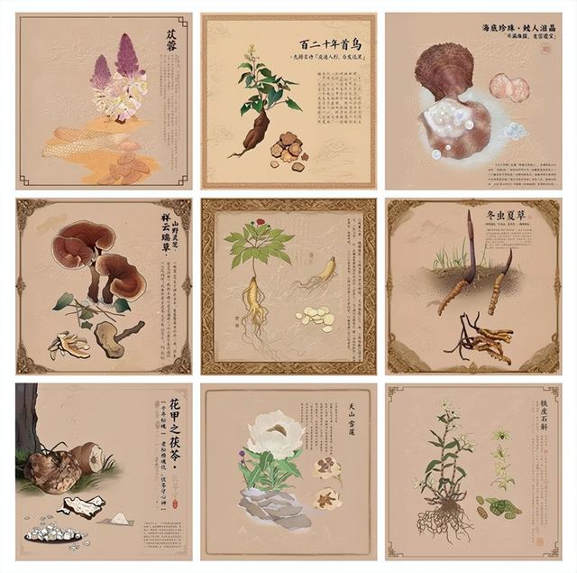 元启数藏正式上线：构建全球大健康数字生态，赋能中医药产业国际化升级